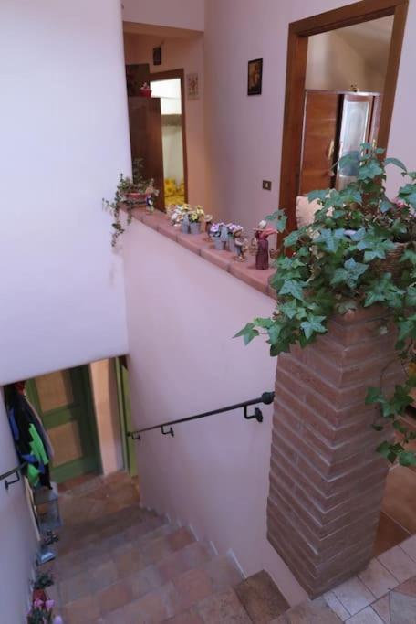 L'Oasi Di Pace Villa Pale Dış mekan fotoğraf